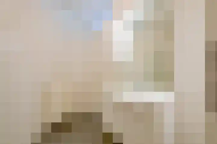 Westerpark 122 Schagen thumbnail 14