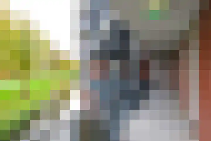 Westerpark 122 Schagen thumbnail 17