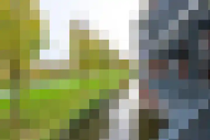 Westerpark 122 Schagen thumbnail 18
