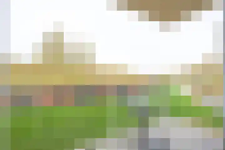 Westerpark 122 Schagen thumbnail 6