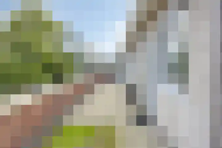 Westerpark 123 Schagen thumbnail 11