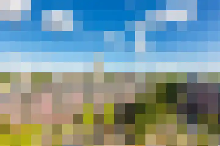 Westerschans 33 Leiderdorp thumbnail 20