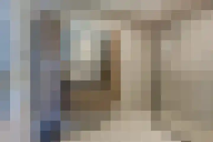 Westerschans 33 Leiderdorp thumbnail 5