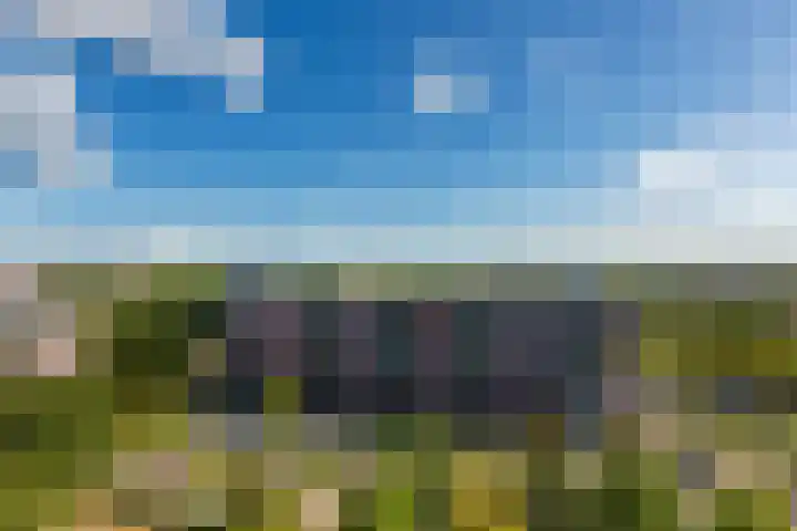 Westerschans 33 Leiderdorp thumbnail 6
