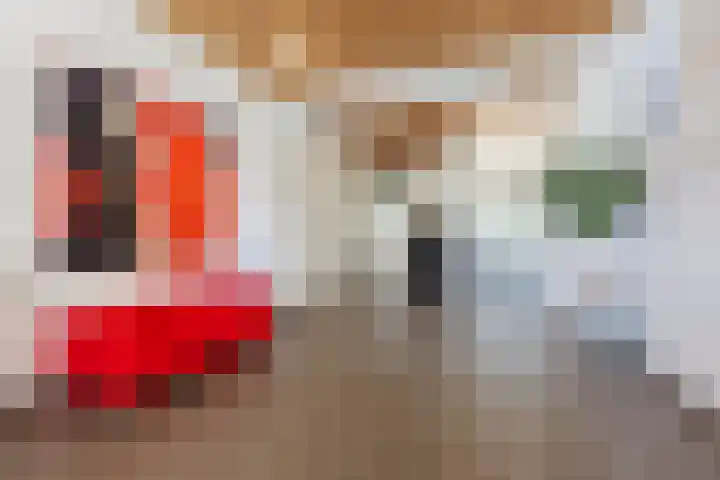 Westerschans 33 Leiderdorp thumbnail 8