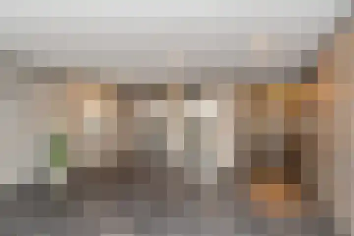 Westerschelde 12 Zoetermeer thumbnail 10