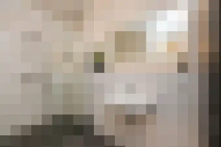 Westerschelde 12 Zoetermeer thumbnail 15