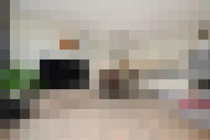 Westerschelde 12 Zoetermeer thumbnail 26