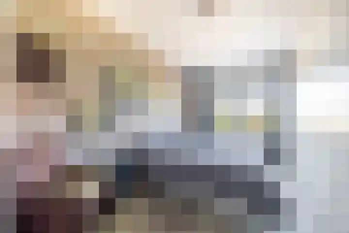 Westerschelde 19 Zoetermeer thumbnail 17