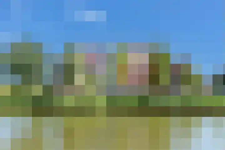 Westerschelde 19 Zoetermeer thumbnail 27