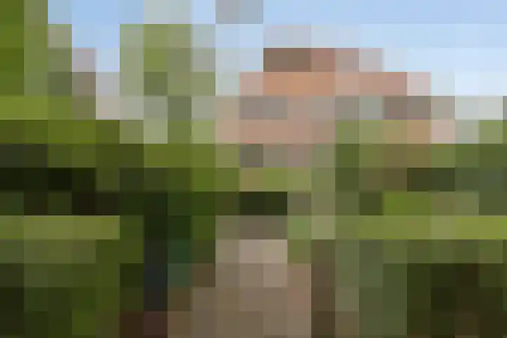 Westerse Drift 89 Haren Gn thumbnail 11