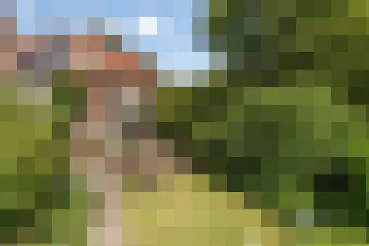 Westerse Drift 89 Haren Gn thumbnail 50
