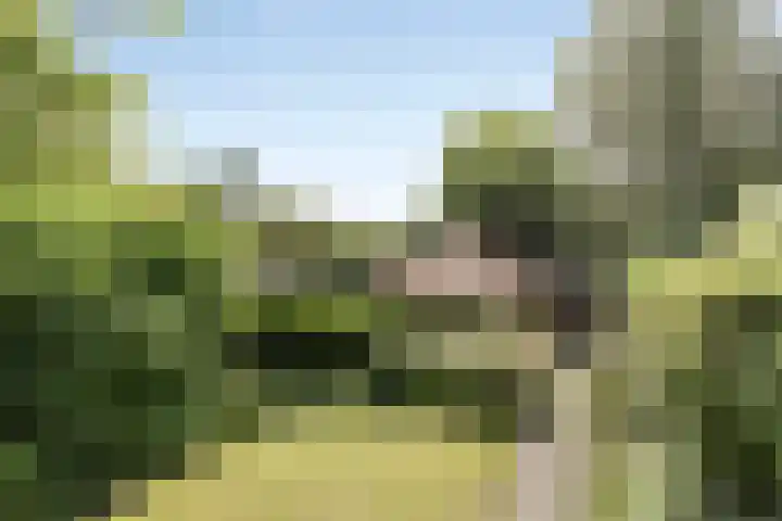 Westerse Drift 89 Haren Gn thumbnail 51