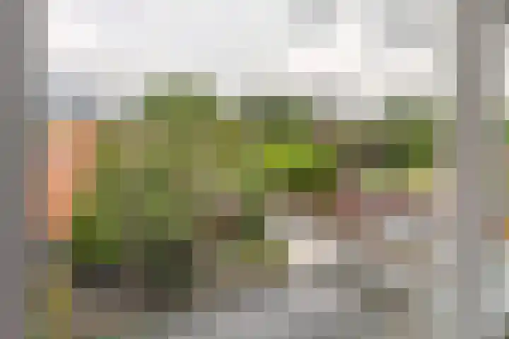 Westersingel 12 Culemborg thumbnail 34