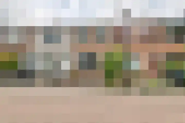 Westersingel 12 Culemborg thumbnail 43