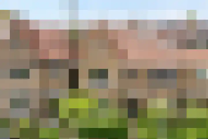 Westerstraat 11 Zwolle thumbnail 41