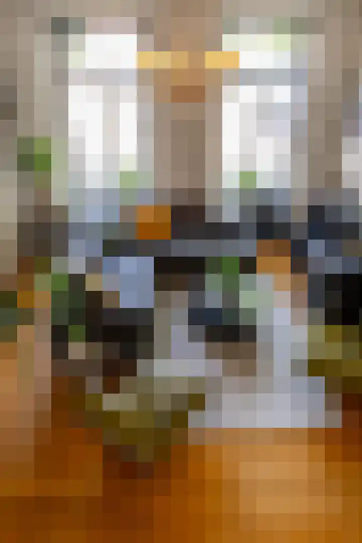 Westerstraat 15 Winsum thumbnail 13
