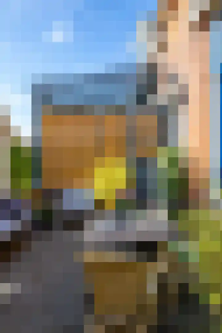 Westerstraat 15 Winsum thumbnail 24
