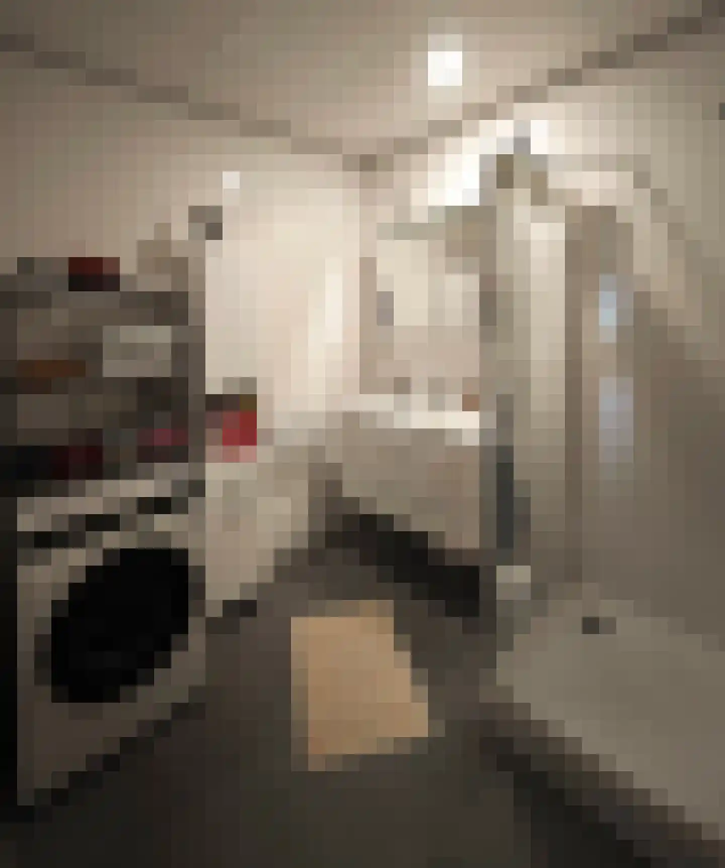 Westerstraat 150 Emmen thumbnail 20