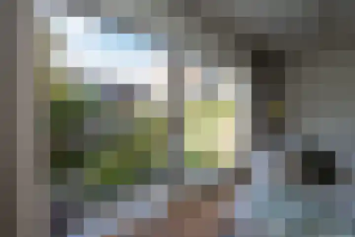 Westerstraat 21 Zwolle thumbnail 4