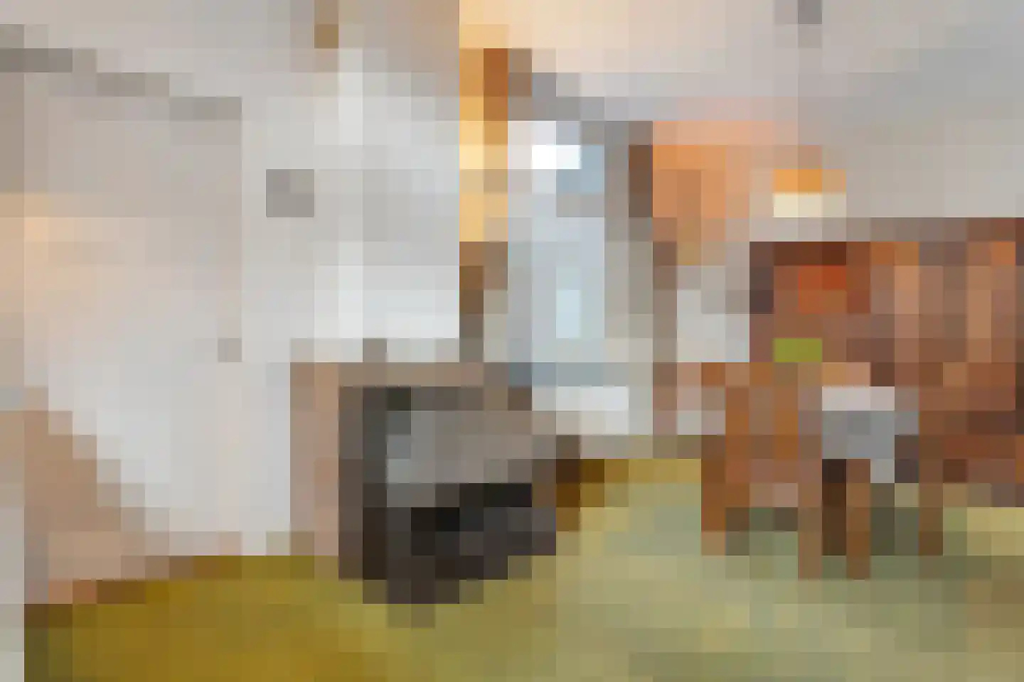 Westerstraat 44 Ruinen thumbnail 12