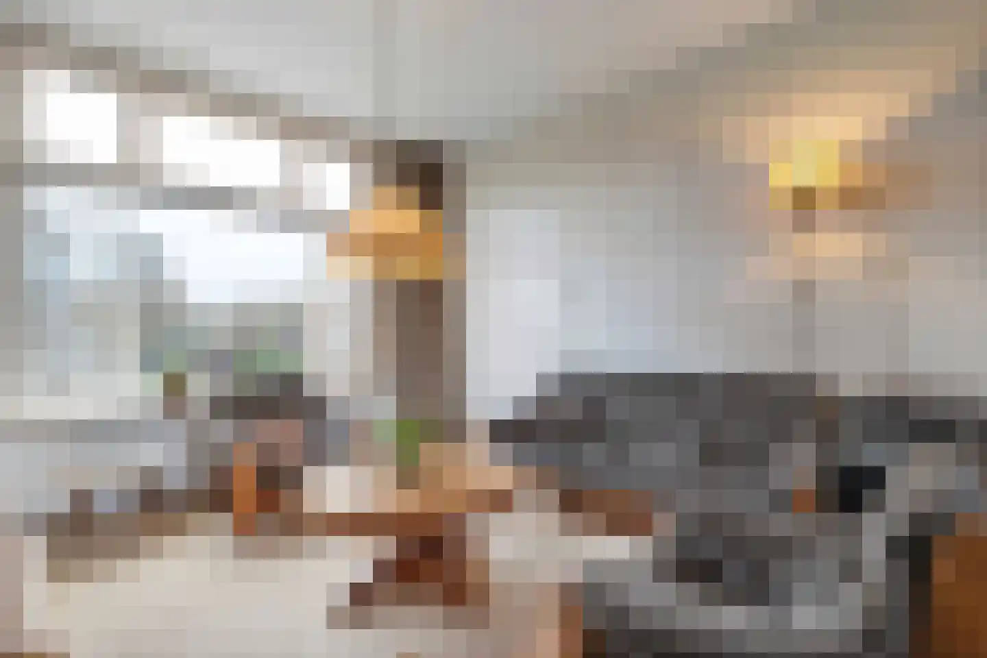 Westerstraat 44 Ruinen thumbnail 15