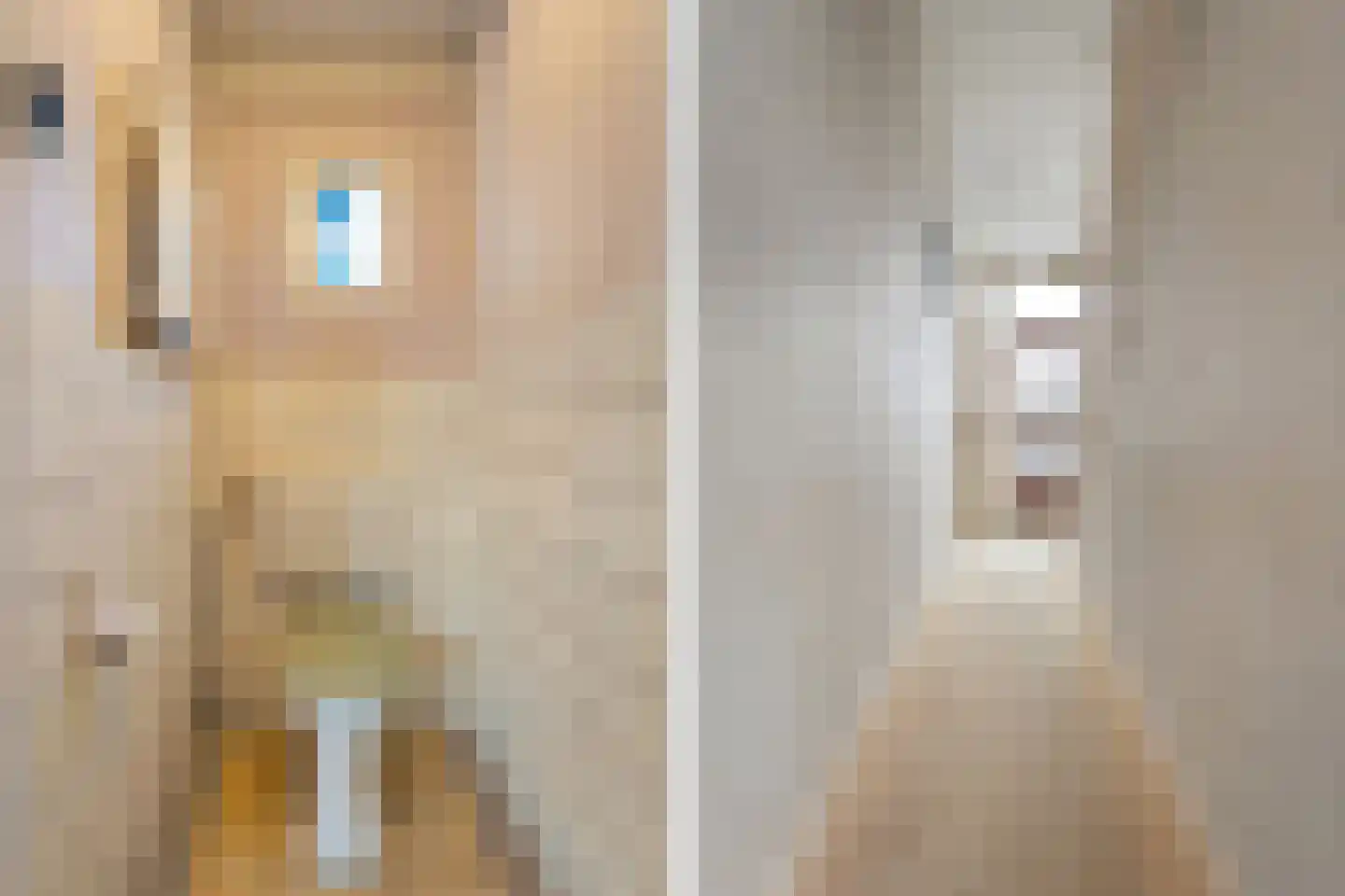 Westerstraat 44 Ruinen thumbnail 9
