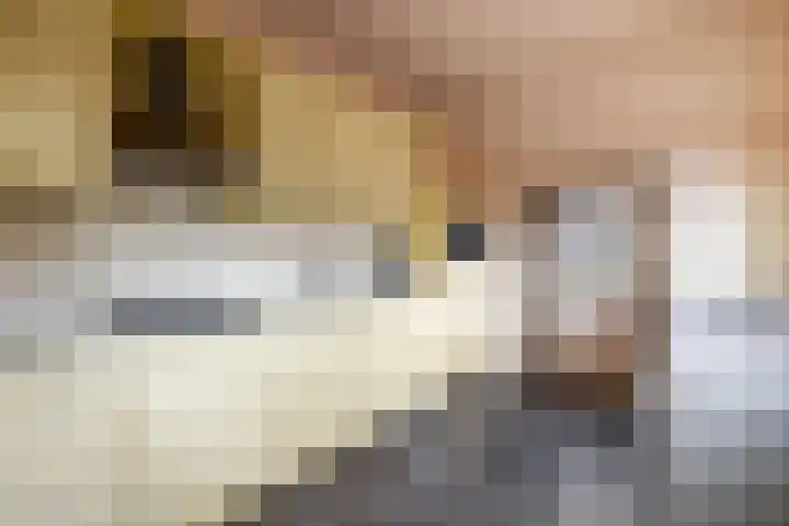 Westerstraat 69 Ruinen thumbnail 11