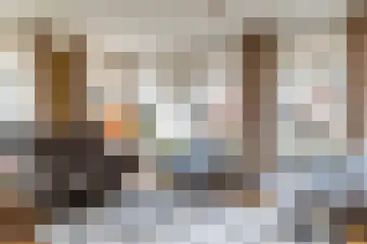 Westerstraat 69 Ruinen thumbnail 13