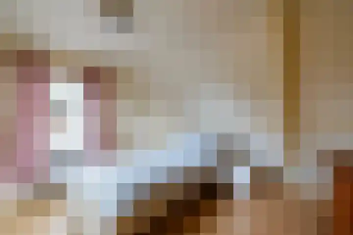 Westerstraat 69 Ruinen thumbnail 21