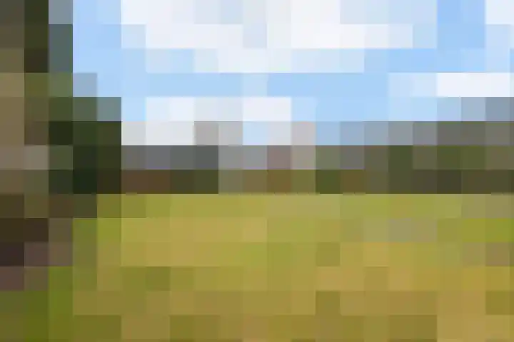 Westerstraat 69 Ruinen thumbnail 31