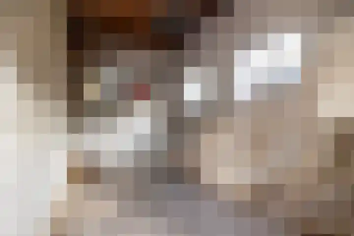 Westerstraat 69 Ruinen thumbnail 33