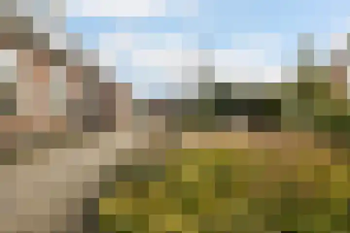 Westerstraat 69 Ruinen thumbnail 39