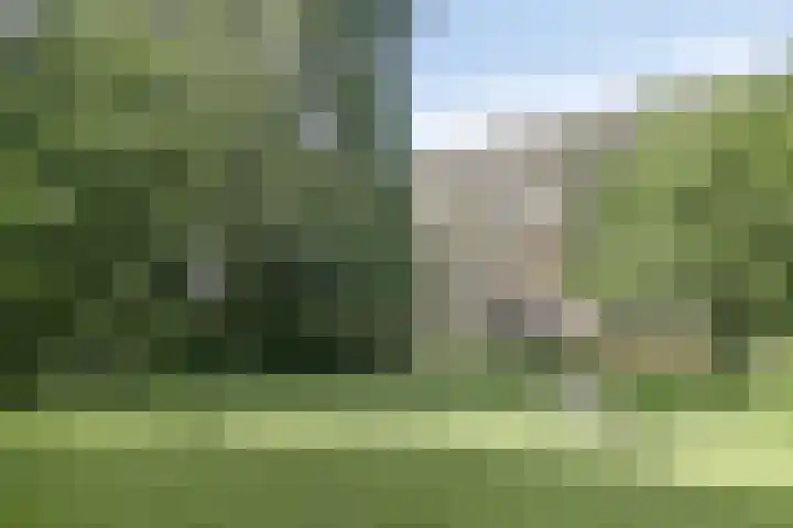 Westervenne 245 Purmerend thumbnail 40