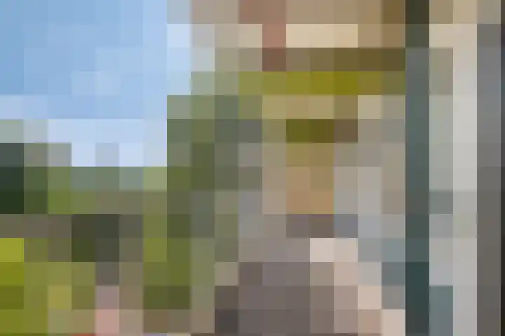 Westervenne 245 Purmerend thumbnail 5