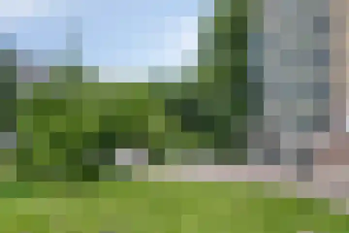Westervenne 245 Purmerend thumbnail 8