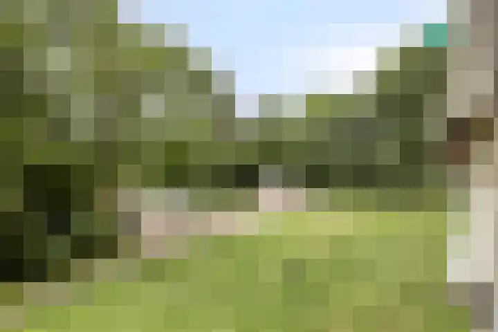 Westervenne 306 Purmerend thumbnail 32