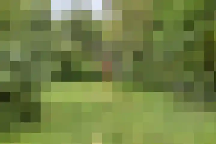 Westervenne 306 Purmerend thumbnail 35