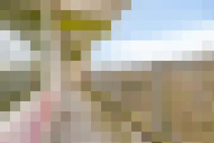 Westervenne 394 Purmerend thumbnail 36