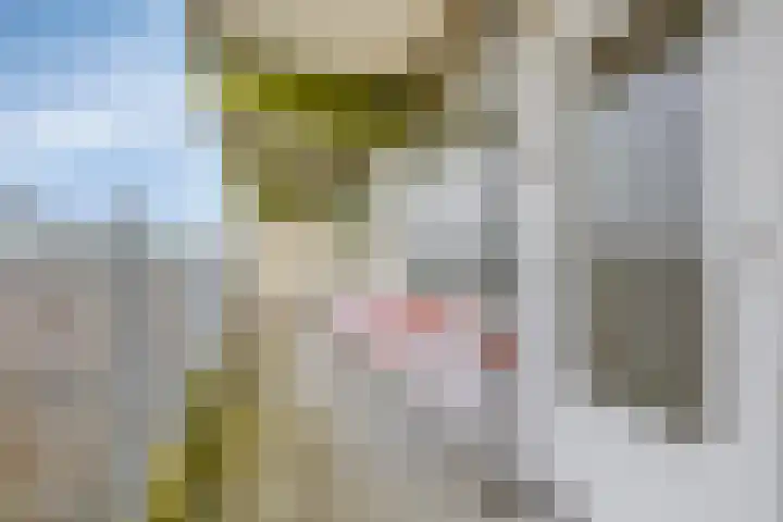 Westervenne 394 Purmerend thumbnail 37