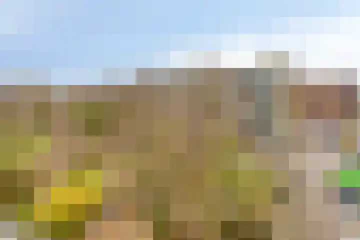 Westervenne 394 Purmerend thumbnail 39