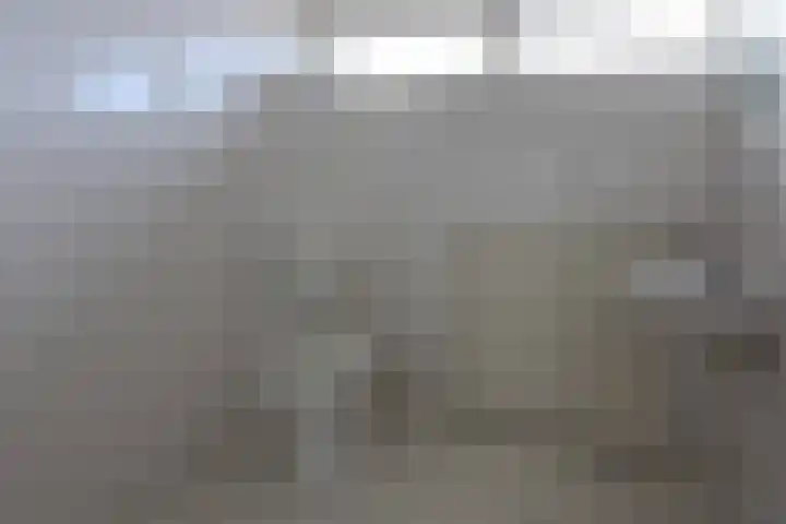 Westervoor 45 Marknesse thumbnail 24