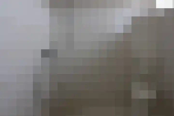 Westervoor 45 Marknesse thumbnail 25