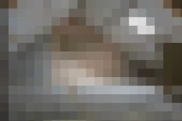 Westervoor 45 Marknesse thumbnail 39