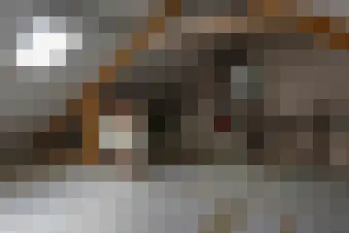 Westervoor 45 Marknesse thumbnail 40