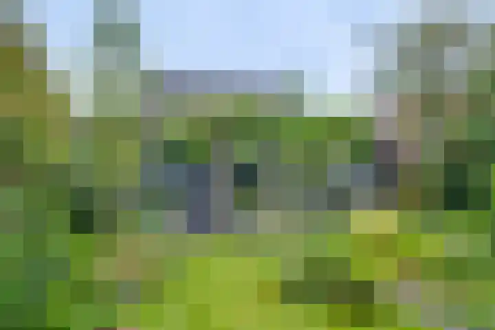 Westerwal 19 Lochem thumbnail 4