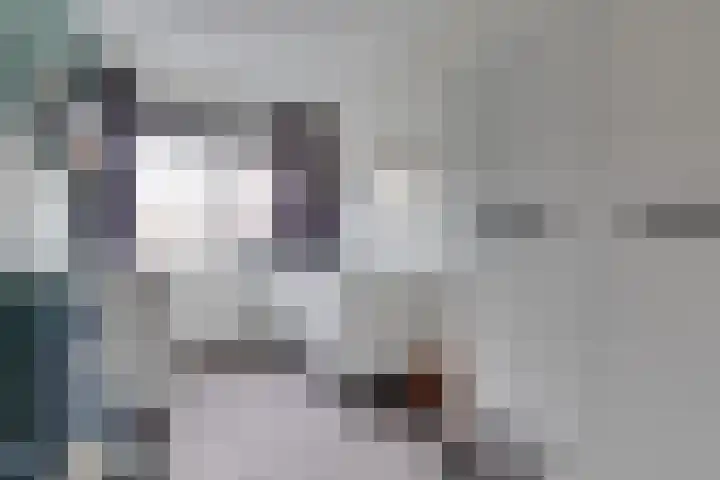 Westerwal 30 Assen thumbnail 12