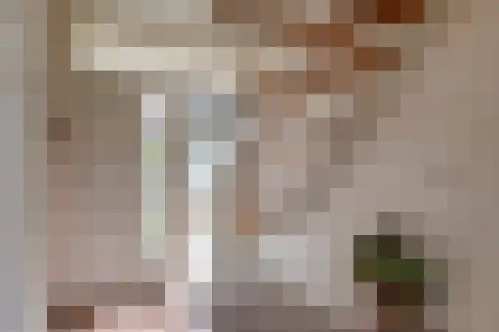 Westerwal 30 Assen thumbnail 6