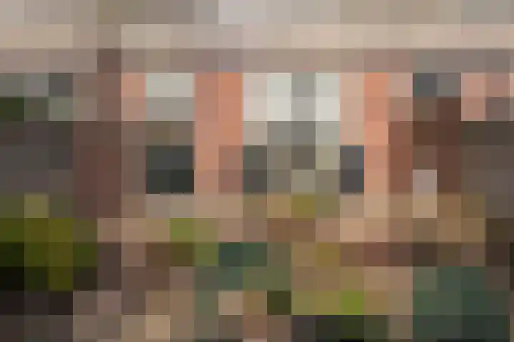 Westerwalstraat 5 Elburg thumbnail 31