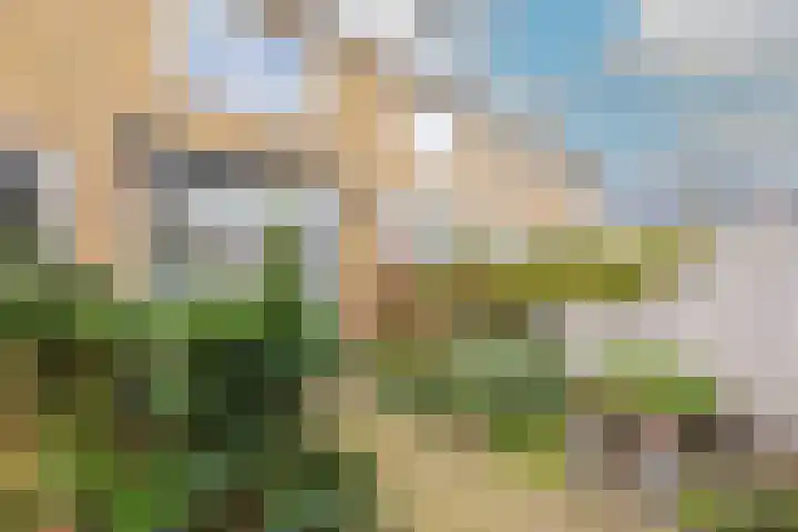 Westerweelstraat 5 Heemskerk thumbnail 37